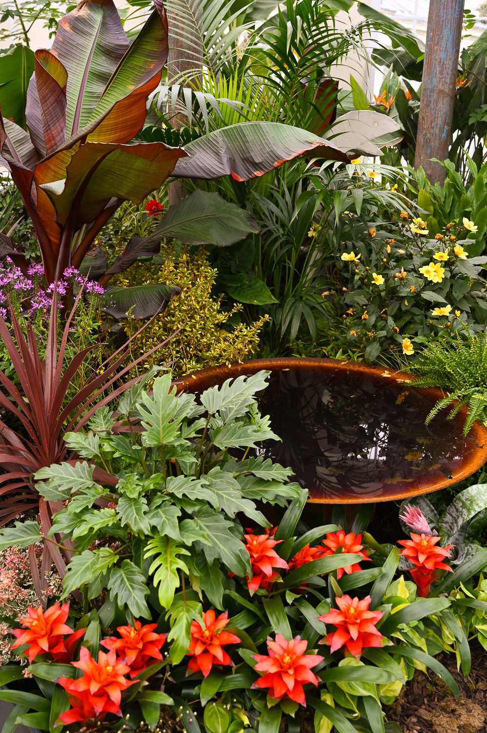 kew gardens lake in richmond upon thames by london film inspired photographer