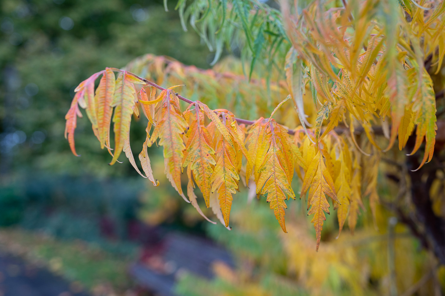 london couple photography captured in battersea park london