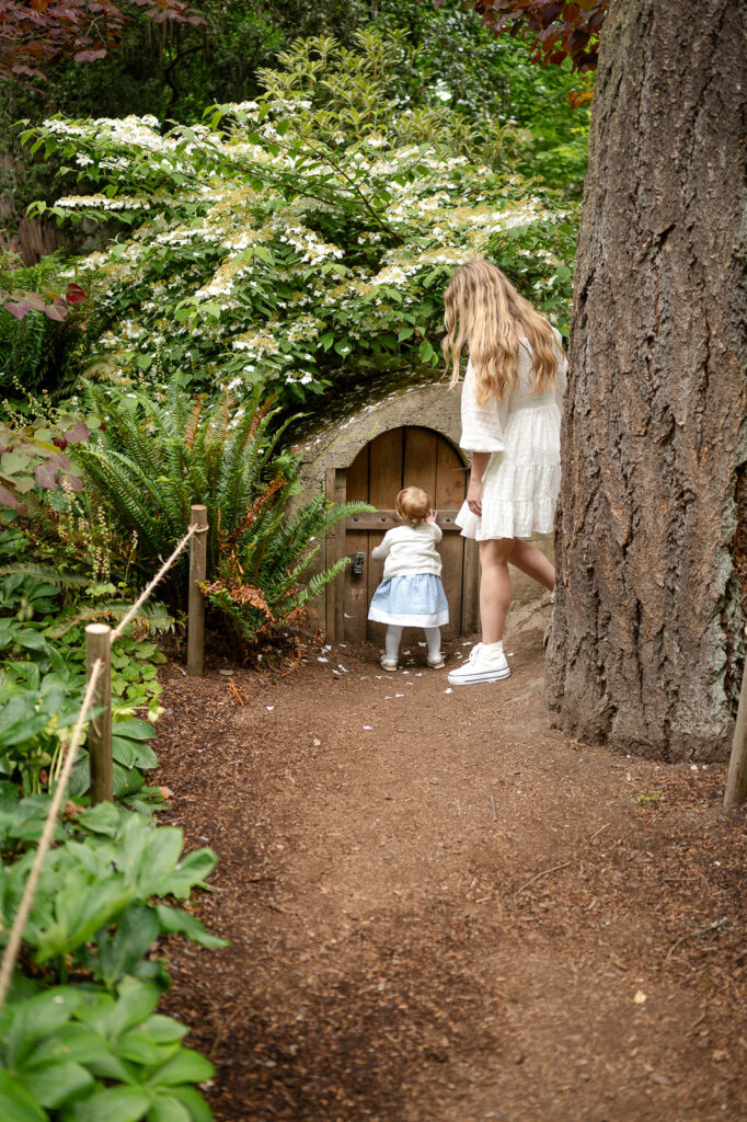 seattle family photography in bellevue washington